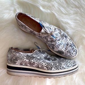 Pertini Lace up Casual Shoes